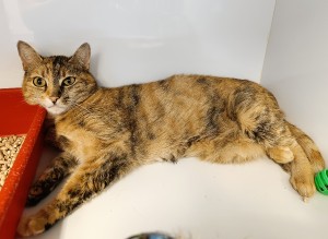 mia-new.jpg