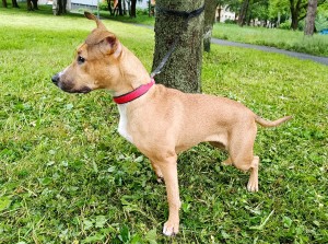 lusy-3.jpg