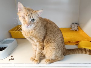 fred-01.jpg