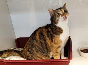 lila-02.jpg