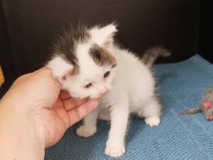 monty-1.jpg
