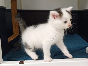 monty-2.jpg