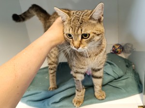 miky-1.jpg