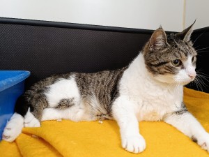 max-2.jpg